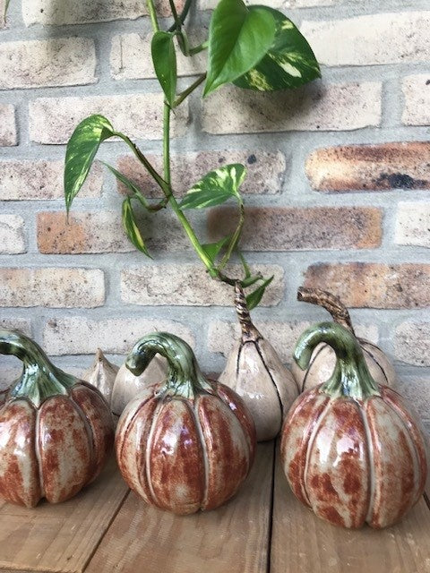 Themaworkshop "Pompoenen"